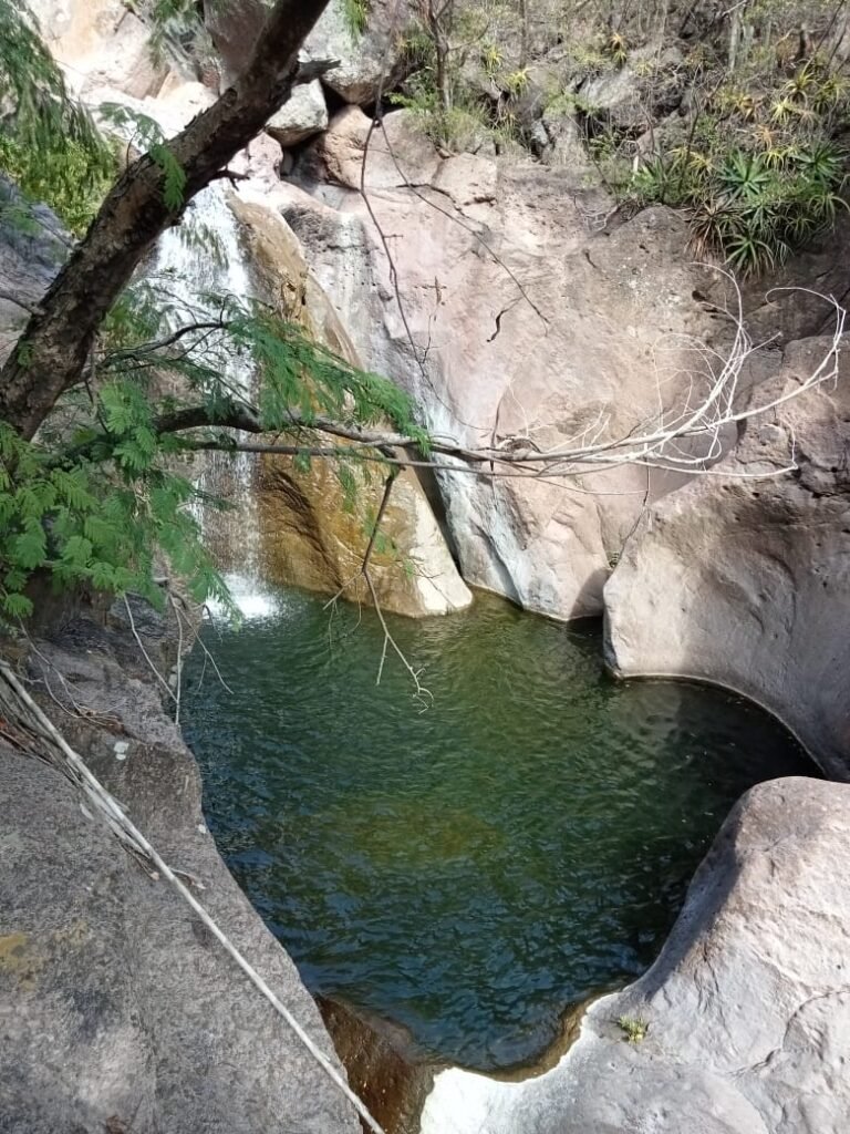 imagen de whatsapp 2025 12 05 a las 09.25.50 913bd60f